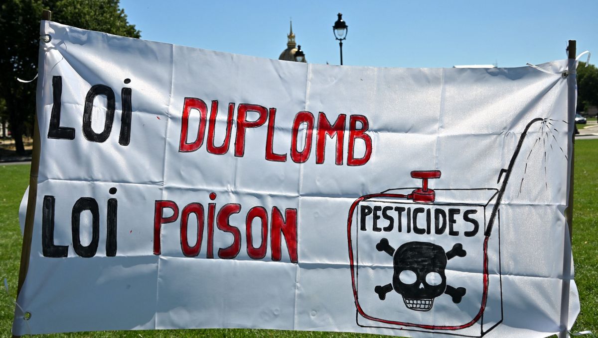 Point actu : la loi Duplomb