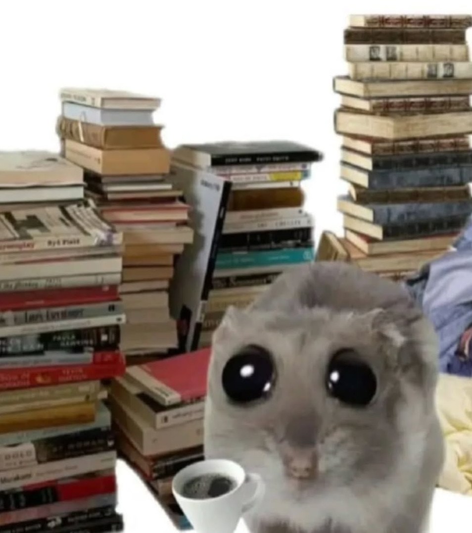 Petit guide de survie avant et après les examens