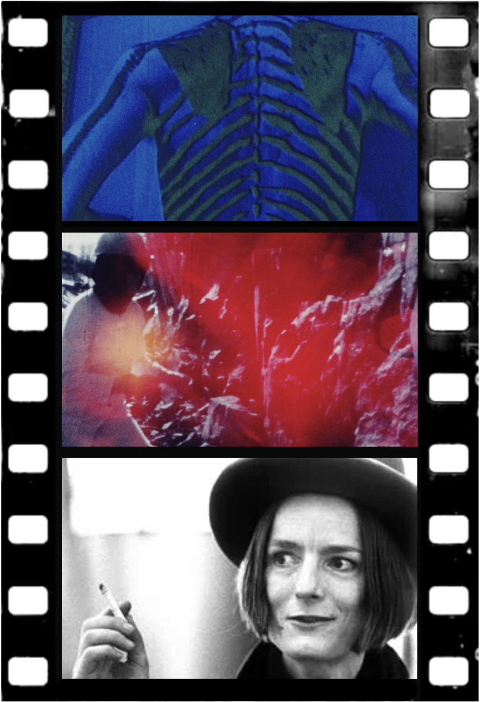 Cinemood 6 – Serpent River de Sandra Lahire